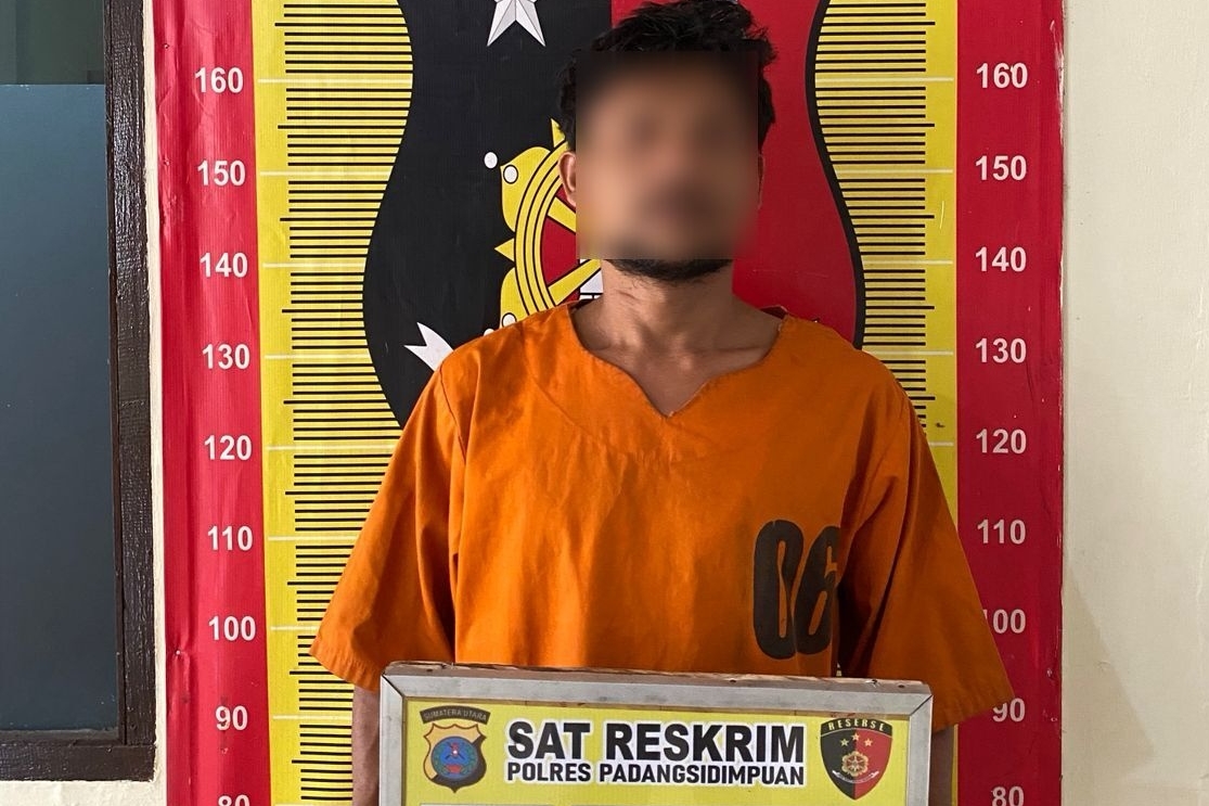 Keterangan Foto: Polres Padangsidimpuan mengamankan barang bukti pencurian buah sawit di Perkebunan PTPN IV Pijor Koling.