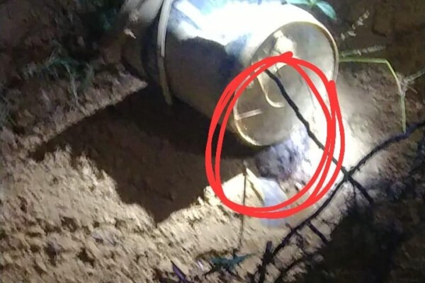 Keterangan Foto: Lokasi Jasad DF ditemukan terkubur di areal perkebunan Desa Taluk, Mandailing Natal.