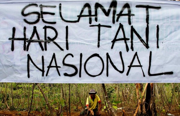 CREATOR: gd-jpeg v1.0 (using IJG JPEG v62), quality = 80?