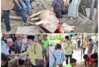 Pemimpin Redaksi KompasReal.id, Armansyah Nasution saat melaksanakan kurban di Masjid Jami Kampung Marancar (Kompas Real)