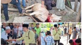Pemimpin Redaksi KompasReal.id, Armansyah Nasution saat melaksanakan kurban di Masjid Jami Kampung Marancar (Kompas Real)