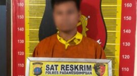 Tersangka berinisial AFS (Istimewa)
