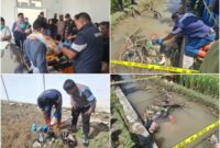 Seorang petani, IEH (48 tahun), warga Desa Pangaribuan, Kecamatan Angkola Muaratais, Kabupaten Tapanuli Selatan (Tapsel), ditemukan meninggal dunia di saluran pengairan sawah (Istimewa)