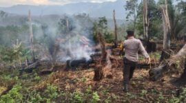 Hotspot Terdeteksi Aplikasi Lancang Kuning, Polsek SD Hole Langsung Cek Lokasi (Istimewa)