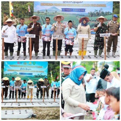 Dukung Program Ketahanan Pangan, Wakil Bupati Mandailing Natal (Madina) Atika Azmi Utammi Nasution turun ke ladang dan ikut menanam bibit.