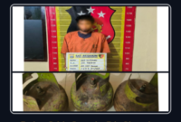 Terduga pelaku pencurian berinisial AHP alias Paet (37) saat diamankan di Mapolres Padangsidimpuan, Jumat (28/8/2026). (Istimewa)