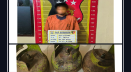 Terduga pelaku pencurian berinisial AHP alias Paet (37) saat diamankan di Mapolres Padangsidimpuan, Jumat (28/8/2026). (Istimewa)