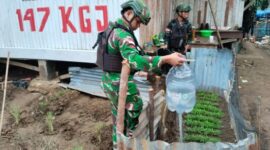 Tingkatkan Kesejahteraan Mandiri, Prajurit Pos Moyeba Satgas Yonif 147/KGJ Gelar Kegiatan Hanpangan Pos (istimewa)
