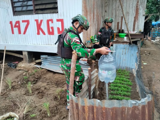 Tingkatkan Kesejahteraan Mandiri, Prajurit Pos Moyeba Satgas Yonif 147/KGJ Gelar Kegiatan Hanpangan Pos (istimewa)
