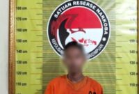 Tersangka pengedar sabu SF (27) diamankan Satresnarkoba Polres Padangsidimpuan beserta barang bukti 1,13 gram sabu dan alat isap. (istimewa)
