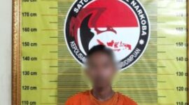 Tersangka pengedar sabu SF (27) diamankan Satresnarkoba Polres Padangsidimpuan beserta barang bukti 1,13 gram sabu dan alat isap. (istimewa)
