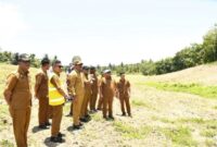 Pemerintah Kabupaten Mandailing Natal (Madina) melalui Dinas Pertanian mulai menanam benih pisang kepok di lahan yang ada di Desa Hutatonga, Kecamatan Panyabungan Barat. (istimewa)