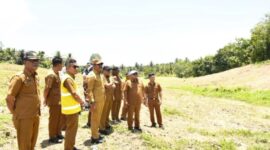Pemerintah Kabupaten Mandailing Natal (Madina) melalui Dinas Pertanian mulai menanam benih pisang kepok di lahan yang ada di Desa Hutatonga, Kecamatan Panyabungan Barat. (istimewa)